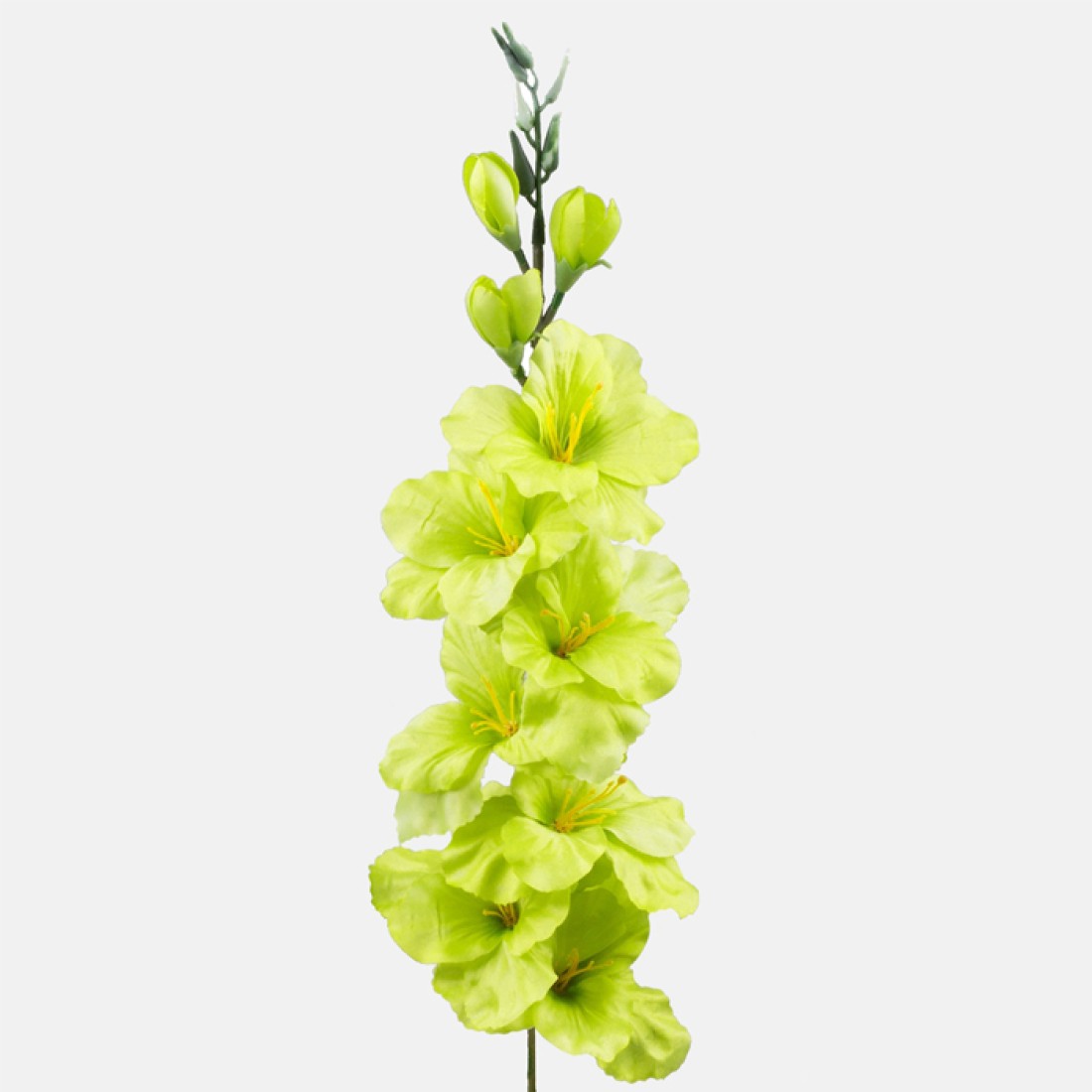 Artificial Gladiola Lime Green 79cm Artificial Flowers